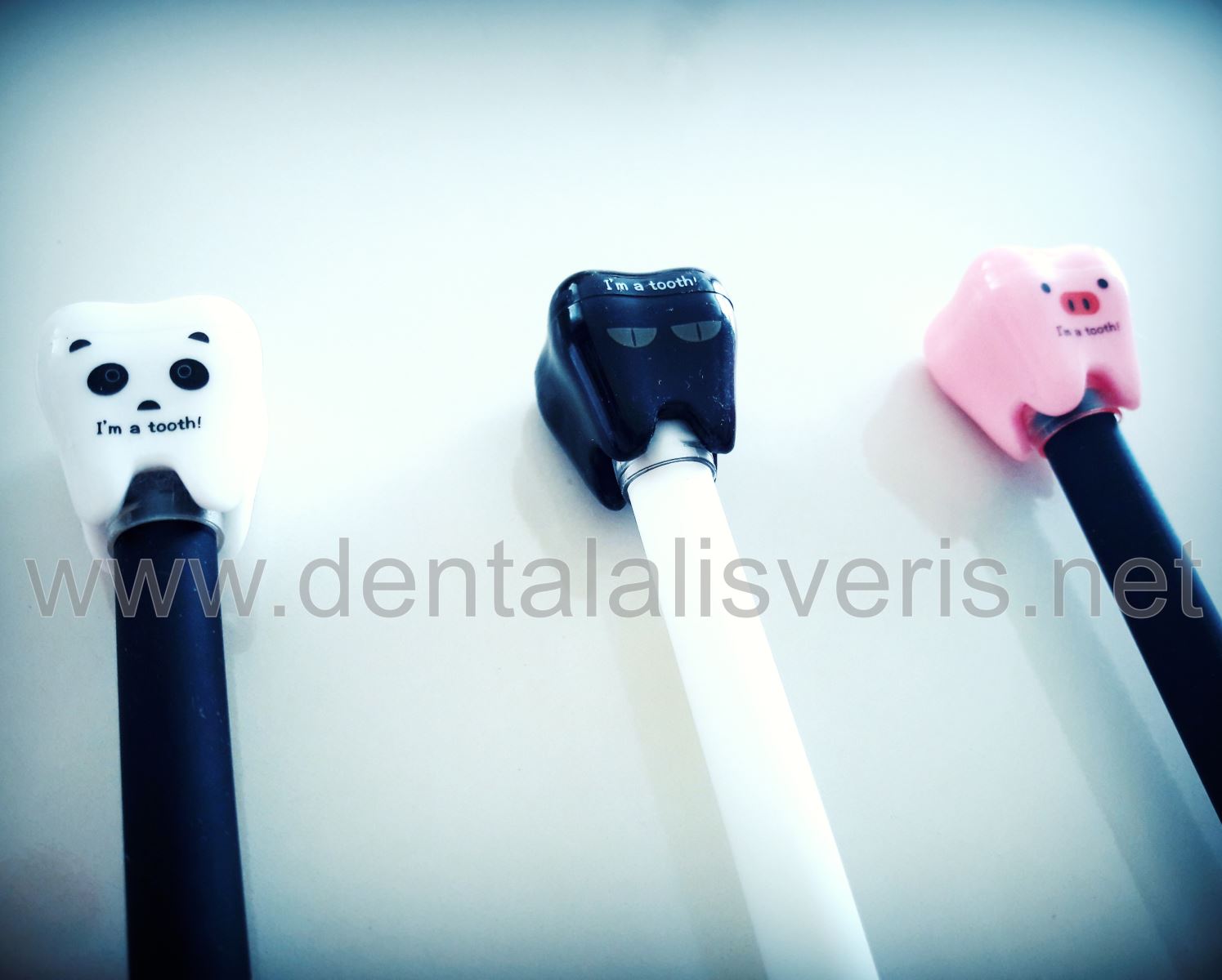 TÜKENMEZ KALEM (ADET FİYATIDIR)